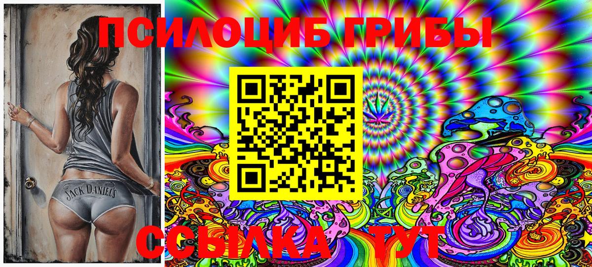 Галлюциногенные грибы Psilocybine cubensis Сухой Лог