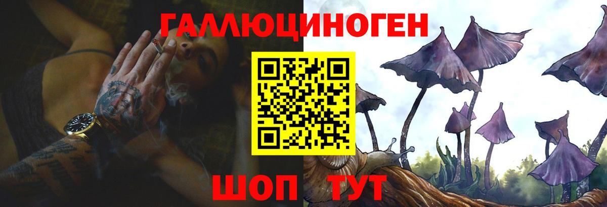 Псилоцибиновые грибы Psilocybe  Вход с VPN  Сухой Лог 